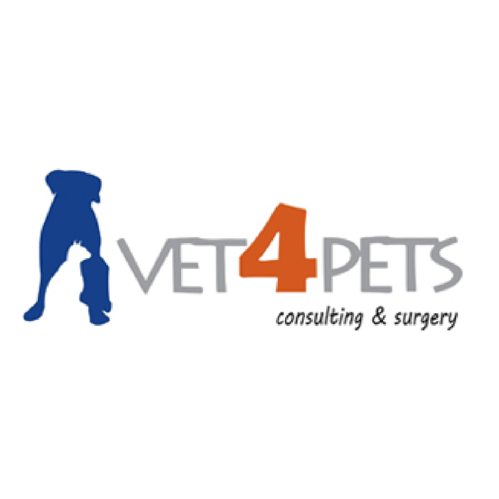 vet 4 pets_Mesa de trabajo 1